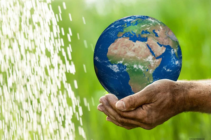 Water-Wise Landscaping: 21 Ideas for Low-Maintenance & Eco-Friendly Yards
