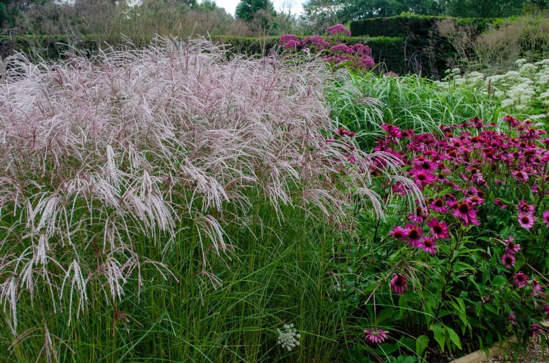 Water-Wise Landscaping: 21 Ideas for Low-Maintenance & Eco-Friendly Yards