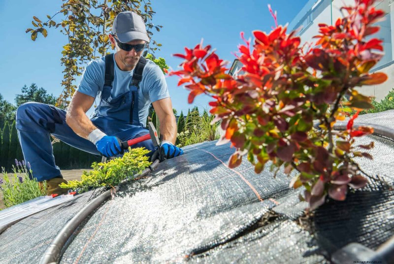Water-Wise Landscaping: 21 Ideas for Low-Maintenance & Eco-Friendly Yards
