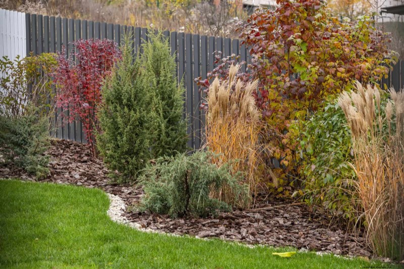 Water-Wise Landscaping: 21 Ideas for Low-Maintenance & Eco-Friendly Yards