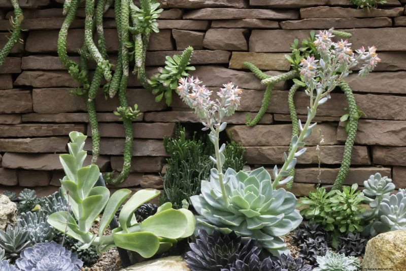 Water-Wise Landscaping: 21 Ideas for Low-Maintenance & Eco-Friendly Yards