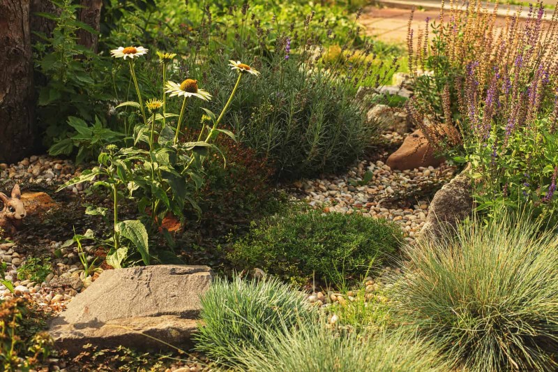 Water-Wise Landscaping: 21 Ideas for Low-Maintenance & Eco-Friendly Yards