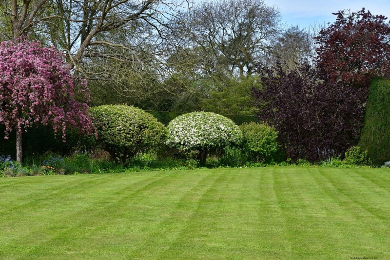 Water-Wise Landscaping: 21 Ideas for Low-Maintenance & Eco-Friendly Yards