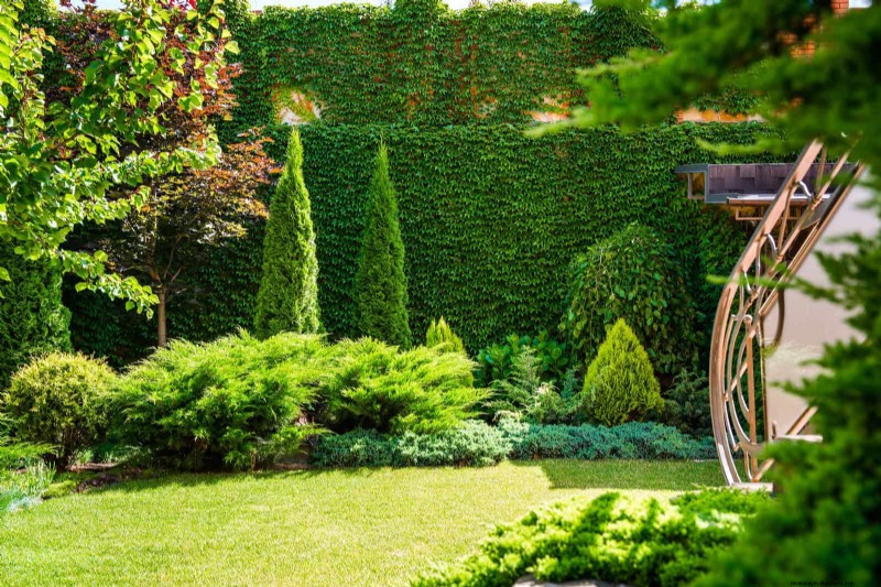 Water-Wise Landscaping: 21 Ideas for Low-Maintenance & Eco-Friendly Yards