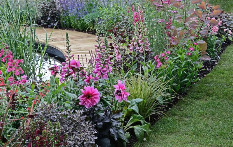 Water-Wise Landscaping: 21 Ideas for Low-Maintenance & Eco-Friendly Yards
