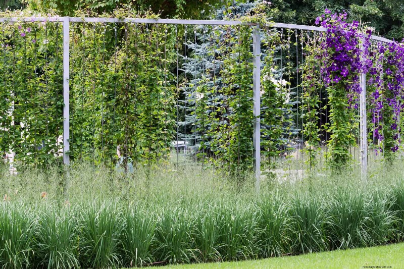 Water-Wise Landscaping: 21 Ideas for Low-Maintenance & Eco-Friendly Yards