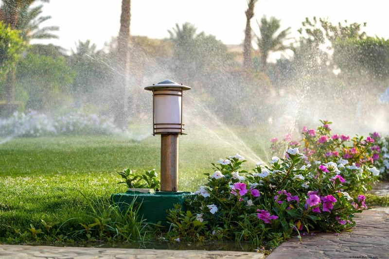 Water-Wise Landscaping: 21 Ideas for Low-Maintenance & Eco-Friendly Yards