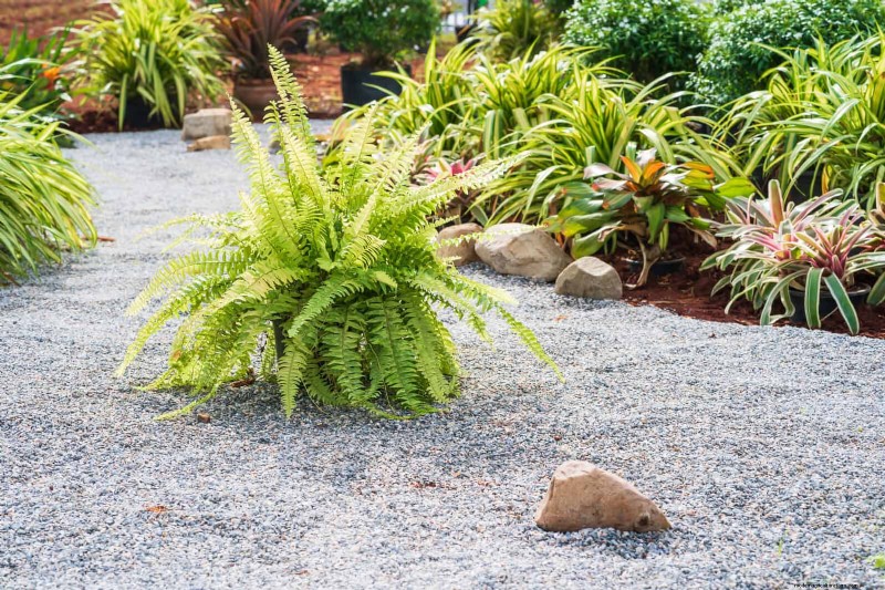 Water-Wise Landscaping: 21 Ideas for Low-Maintenance & Eco-Friendly Yards