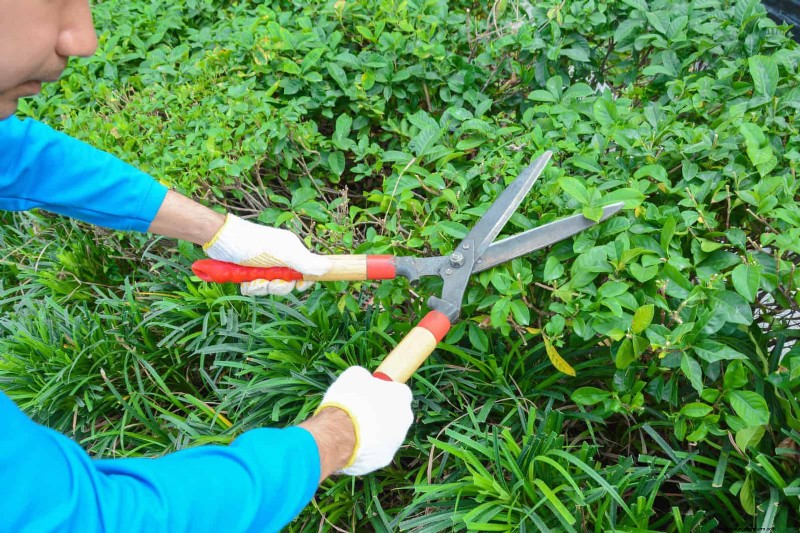 Water-Wise Landscaping: 21 Ideas for Low-Maintenance & Eco-Friendly Yards