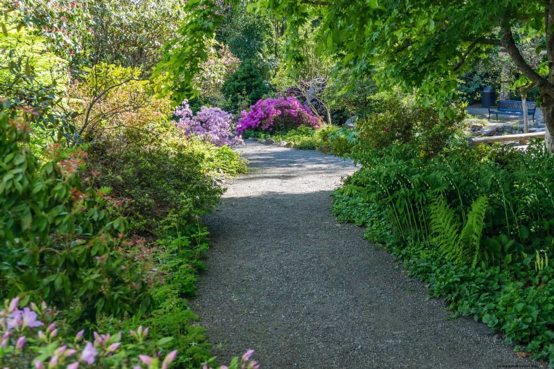Water-Wise Landscaping: 21 Ideas for Low-Maintenance & Eco-Friendly Yards