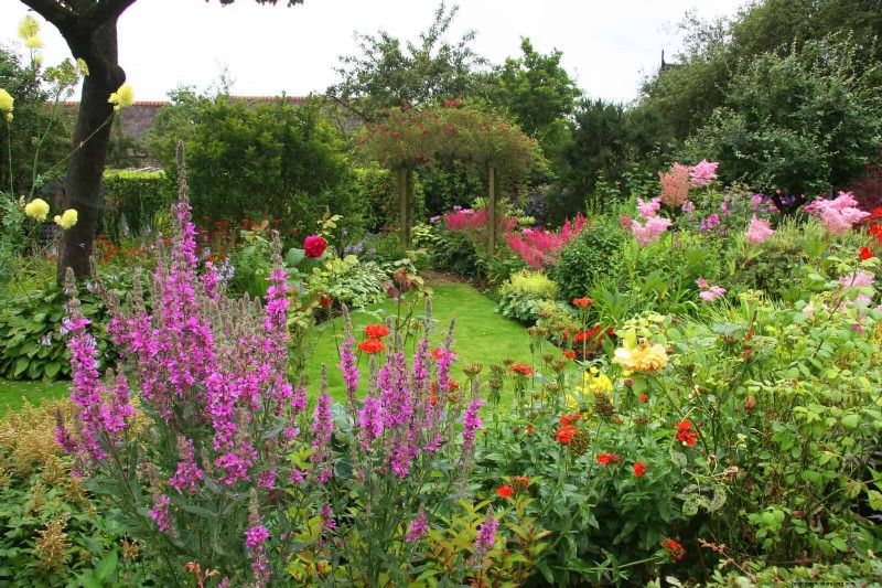 Wildlife-Friendly Meadow Garden Ideas: 25 Designs for a Low-Maintenance Oasis