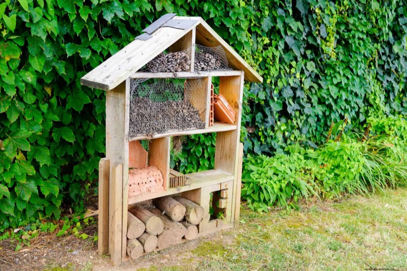 Wildlife-Friendly Meadow Garden Ideas: 25 Designs for a Low-Maintenance Oasis