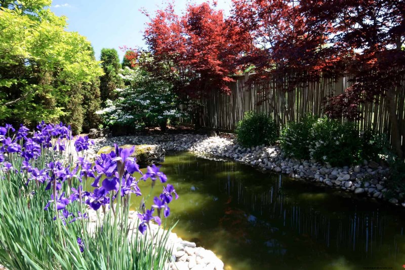 Wildlife-Friendly Meadow Garden Ideas: 25 Designs for a Low-Maintenance Oasis