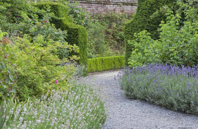 Wildlife-Friendly Meadow Garden Ideas: 25 Designs for a Low-Maintenance Oasis