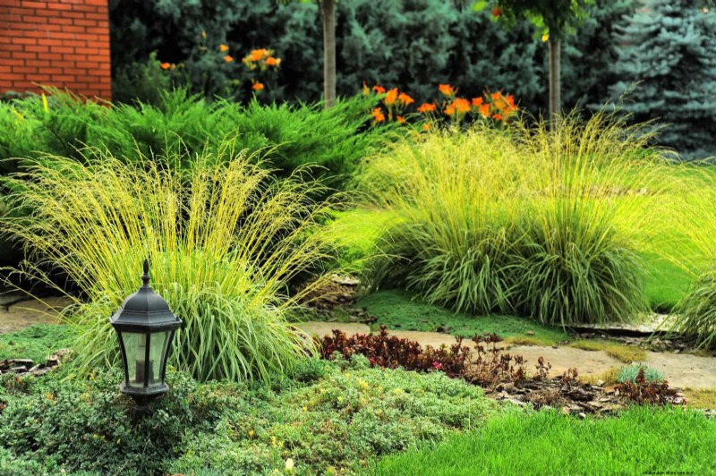 Wildlife-Friendly Meadow Garden Ideas: 25 Designs for a Low-Maintenance Oasis