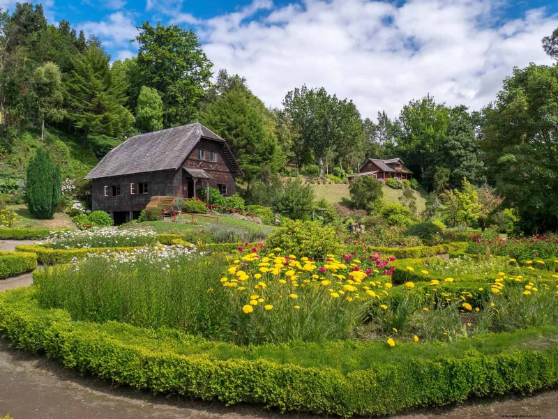Wildlife-Friendly Meadow Garden Ideas: 25 Designs for a Low-Maintenance Oasis