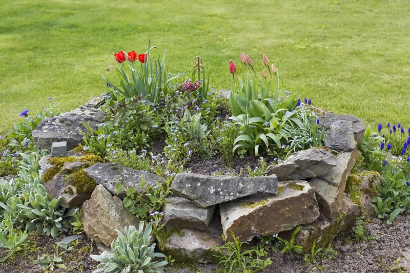 Wildlife-Friendly Meadow Garden Ideas: 25 Designs for a Low-Maintenance Oasis