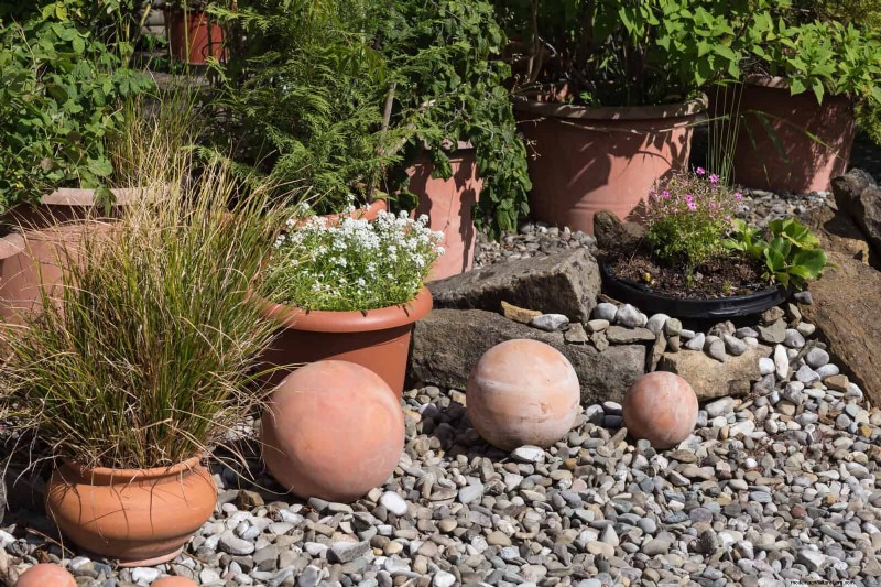 Wildlife-Friendly Meadow Garden Ideas: 25 Designs for a Low-Maintenance Oasis