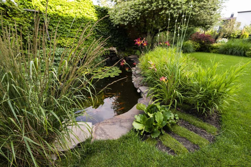 Wildlife-Friendly Meadow Garden Ideas: 25 Designs for a Low-Maintenance Oasis
