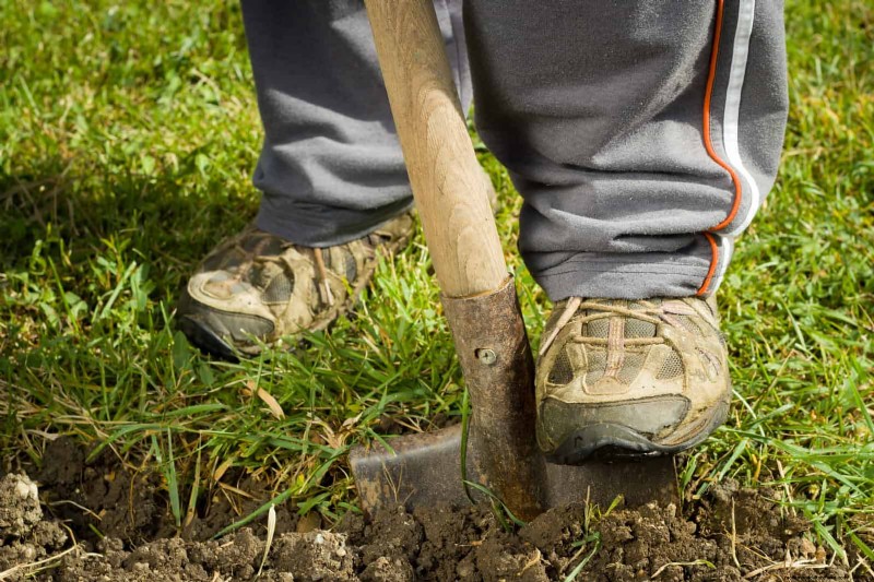 30 Simple & Affordable Landscaping Ideas to Enhance Curb Appeal