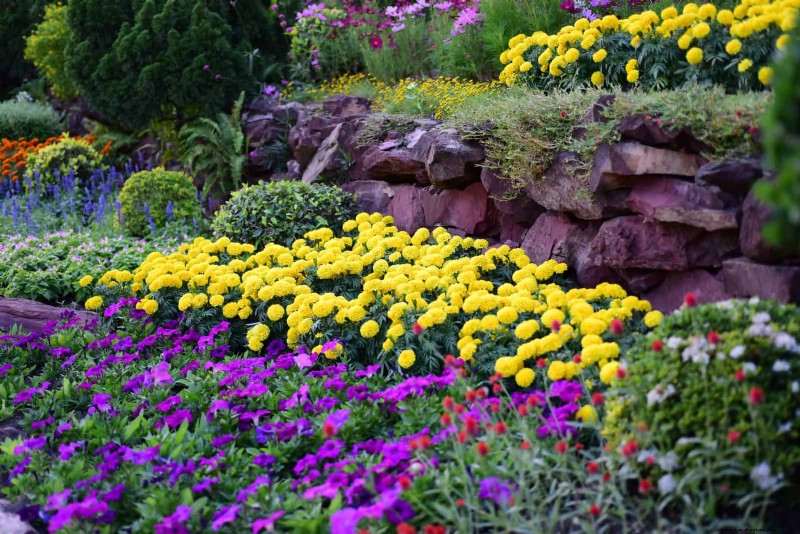 30 Simple & Affordable Landscaping Ideas to Enhance Curb Appeal