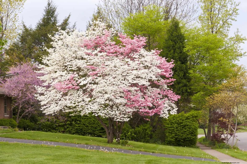 30 Simple & Affordable Landscaping Ideas to Enhance Curb Appeal