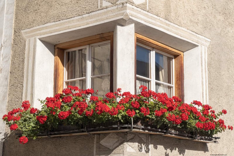 30 Simple & Affordable Landscaping Ideas to Enhance Curb Appeal