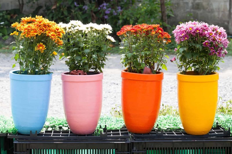 30 Simple & Affordable Landscaping Ideas to Enhance Curb Appeal