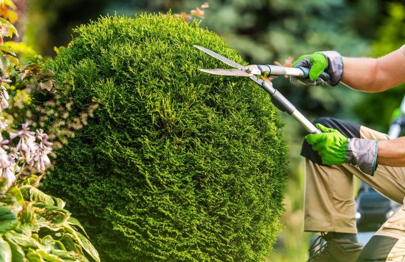 30 Simple & Affordable Landscaping Ideas to Enhance Curb Appeal