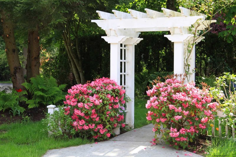 30 Simple & Affordable Landscaping Ideas to Enhance Curb Appeal