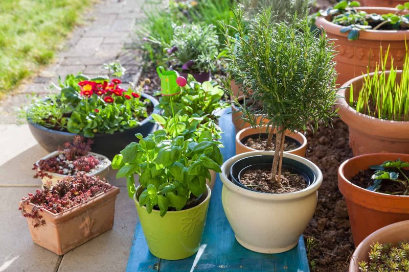 30 Simple & Affordable Landscaping Ideas to Enhance Curb Appeal