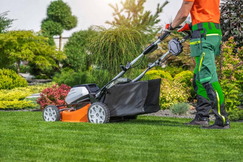 30 Simple & Affordable Landscaping Ideas to Enhance Curb Appeal