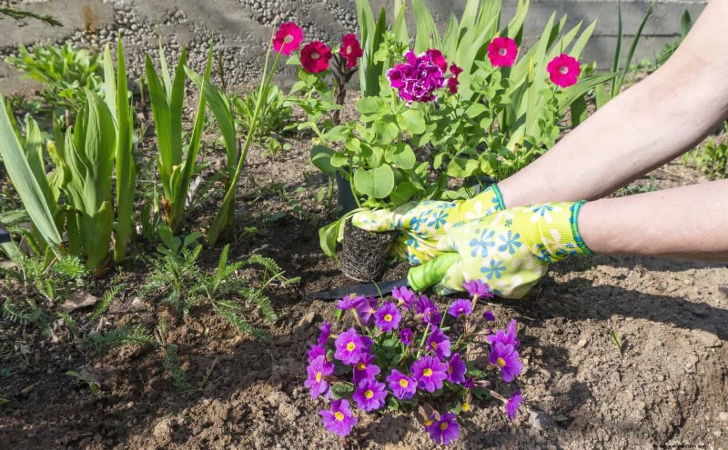 30 Simple & Affordable Landscaping Ideas to Enhance Curb Appeal