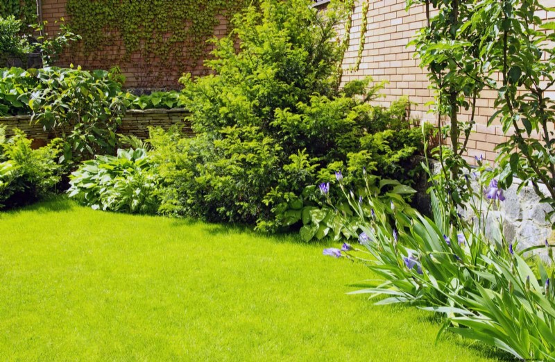 30 Simple & Affordable Landscaping Ideas to Enhance Curb Appeal