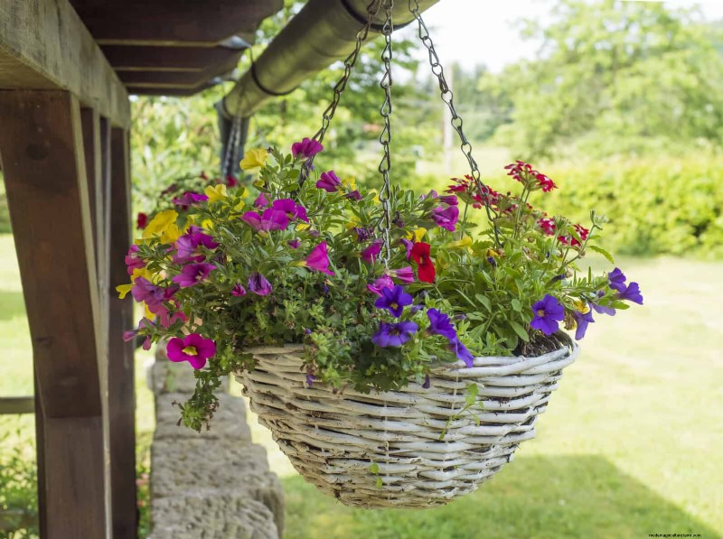 30 Simple & Affordable Landscaping Ideas to Enhance Curb Appeal