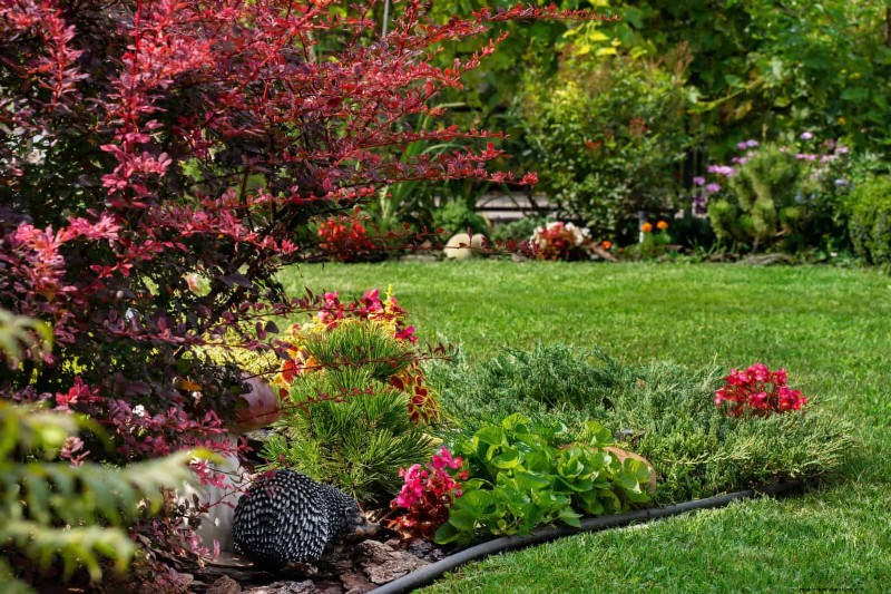 Boost Curb Appeal: A Simple Front Yard Planting Guide