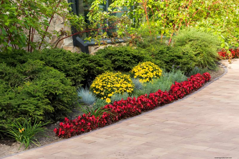 Boost Curb Appeal: A Simple Front Yard Planting Guide