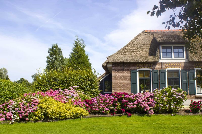 Boost Curb Appeal: A Simple Front Yard Planting Guide
