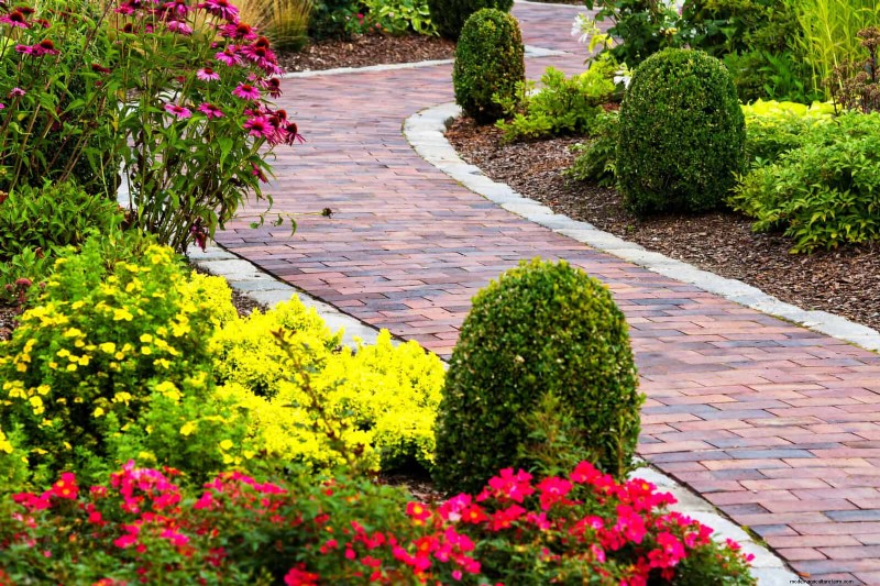 Boost Curb Appeal: A Simple Front Yard Planting Guide