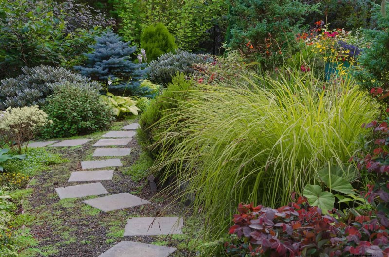 Boost Curb Appeal: A Simple Front Yard Planting Guide
