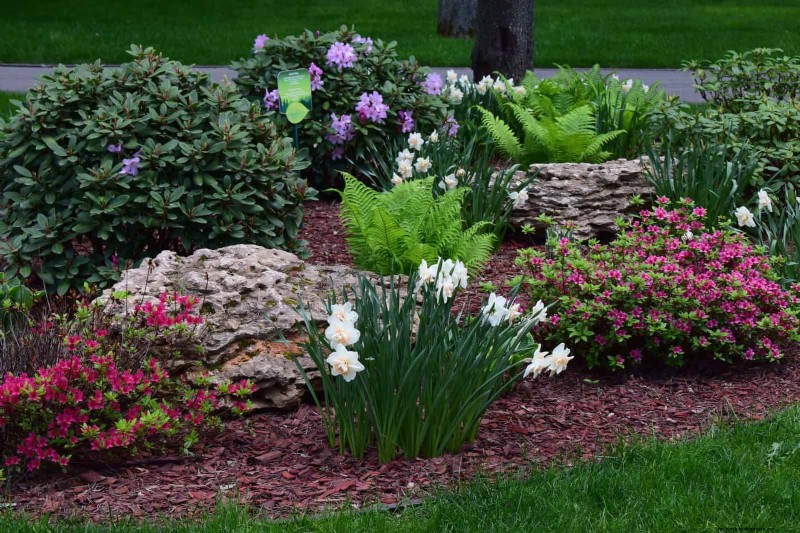 Boost Curb Appeal: A Simple Front Yard Planting Guide