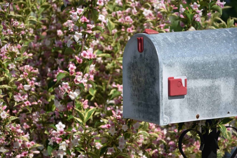 Boost Curb Appeal: A Simple Front Yard Planting Guide