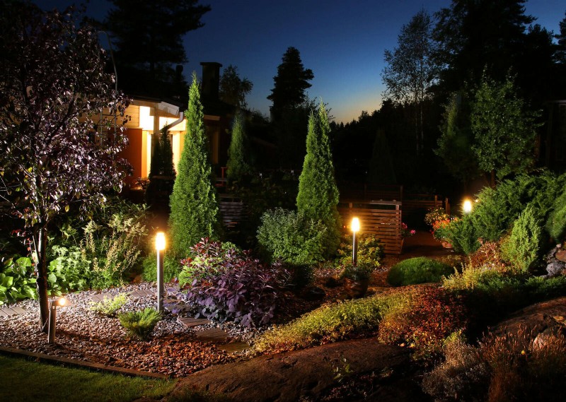 Boost Curb Appeal: A Simple Front Yard Planting Guide