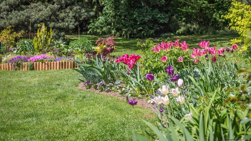 Boost Curb Appeal: A Simple Front Yard Planting Guide