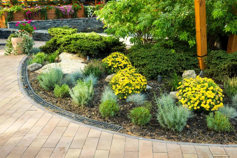 Boost Curb Appeal: A Simple Front Yard Planting Guide