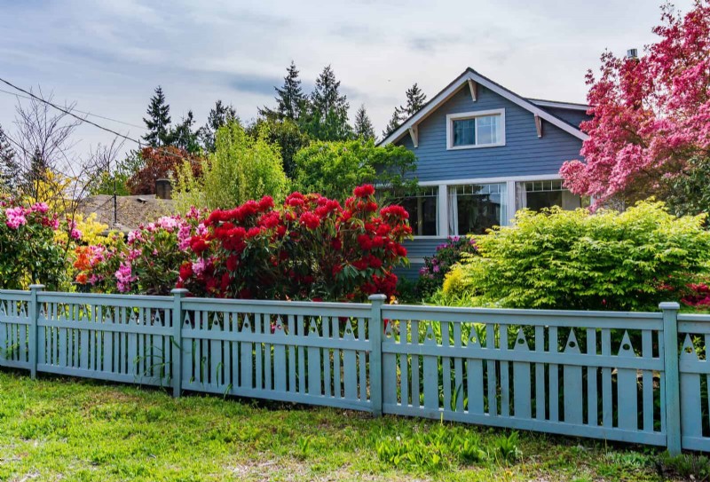Boost Curb Appeal: A Simple Front Yard Planting Guide