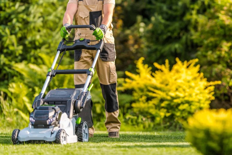 Boost Curb Appeal: A Simple Front Yard Planting Guide