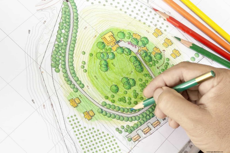 Boost Curb Appeal: A Simple Front Yard Planting Guide
