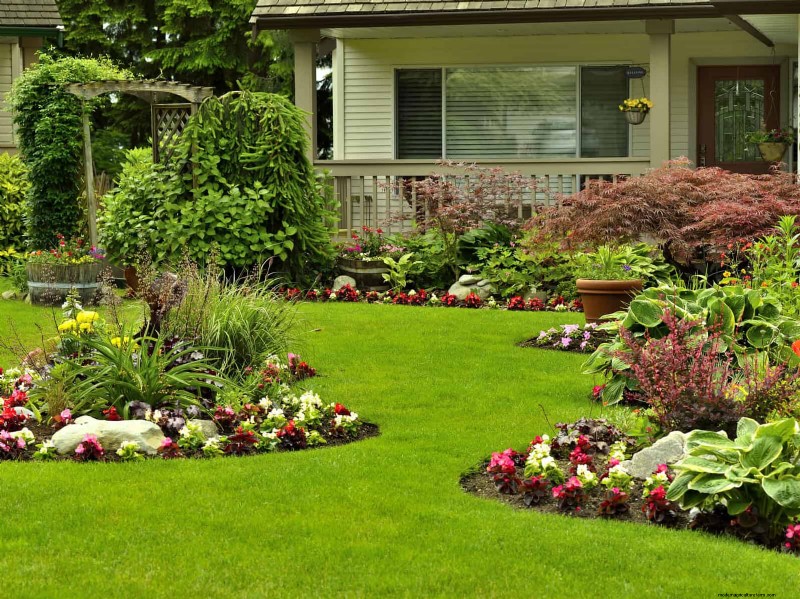 Boost Curb Appeal: A Simple Front Yard Planting Guide
