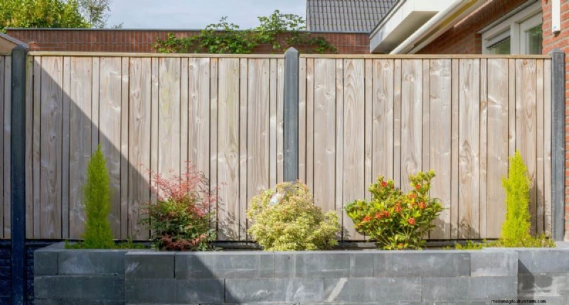 Backyard Privacy: 30 Ideas for a Tranquil Outdoor Space